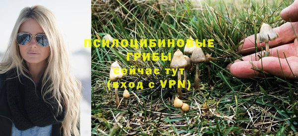 твердый Касимов